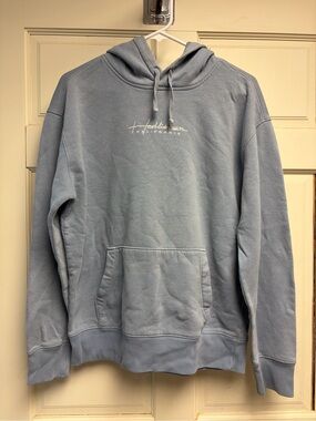 Hollister Mens Hoodie